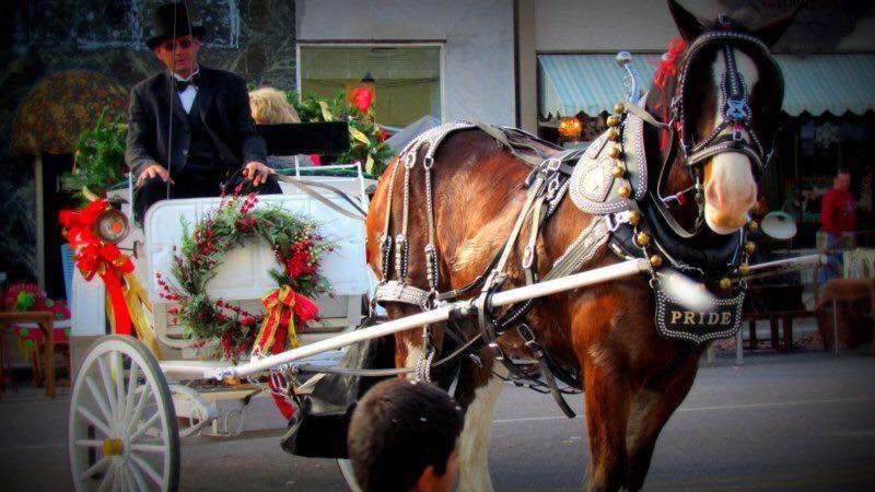Horse Pulling Christmas Carriage