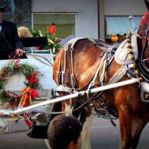 Horse Pulling Christmas Carriage