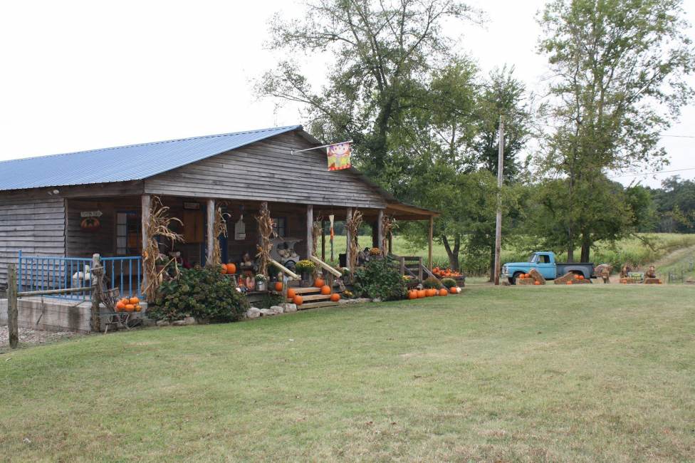 The Belue Place Pumpkin Patch