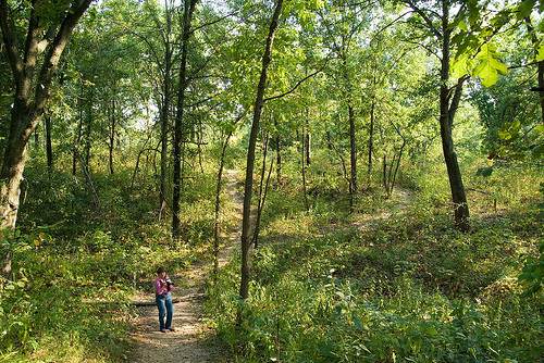 Shoal Creek Preserve