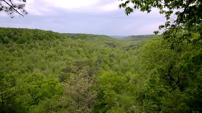 Cane Creek Canyon Nature Preserve